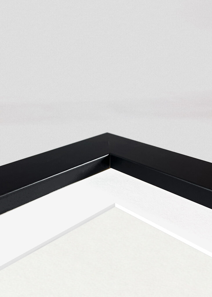 Petirrojo europeo y paja salvaje