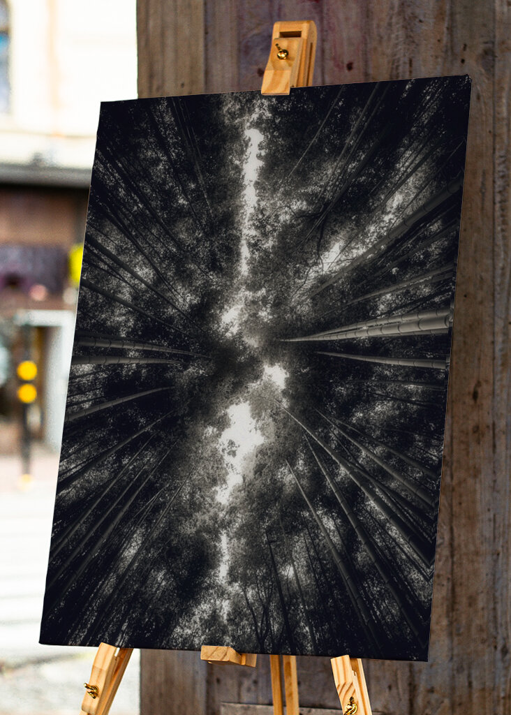 Arashiyama Bamboo Grove 