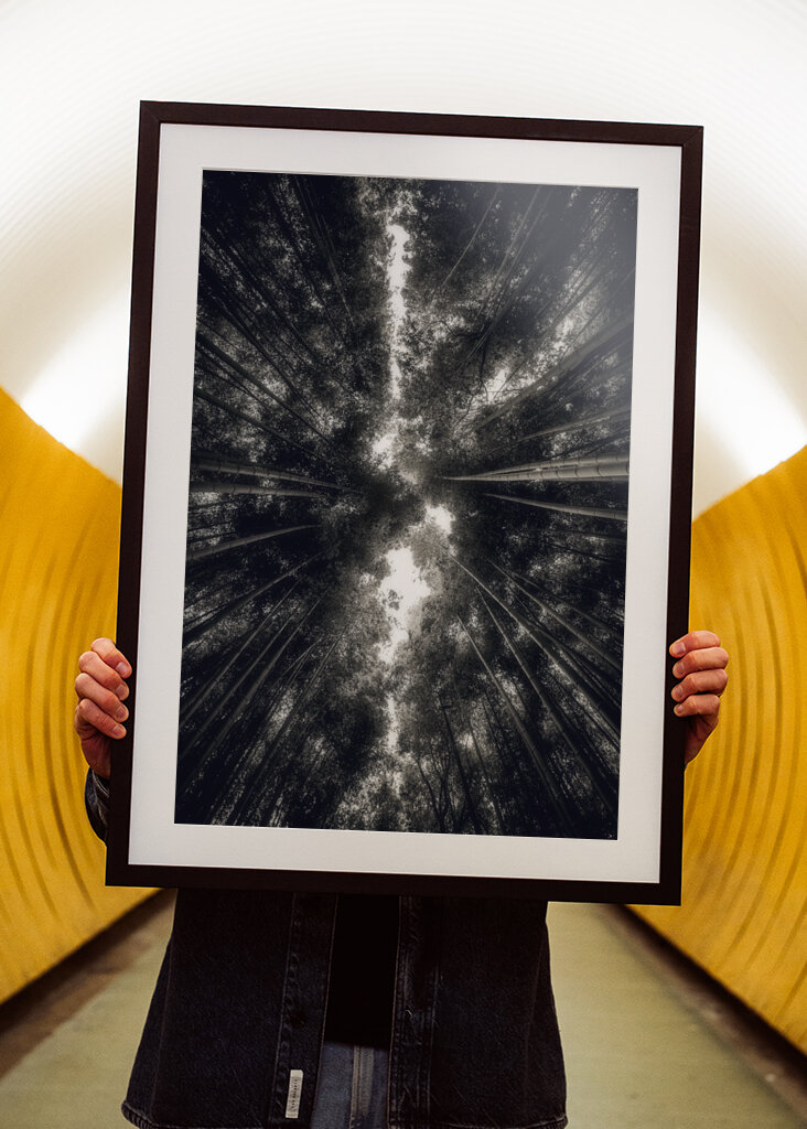 Arashiyama Bamboo Grove 