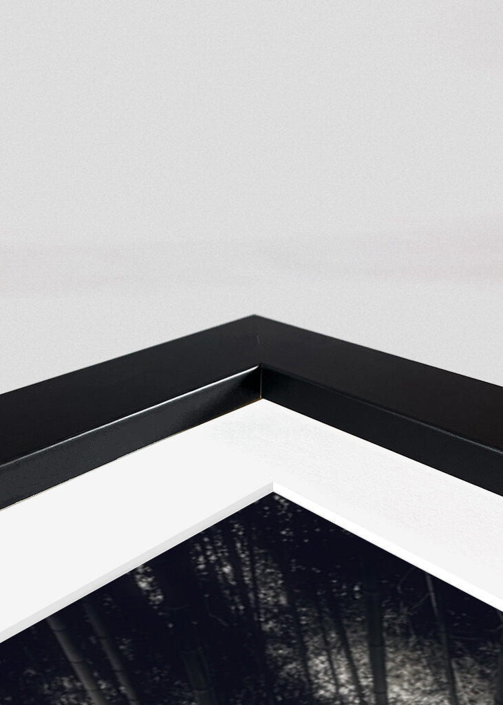 Arashiyama Bamboo Grove 