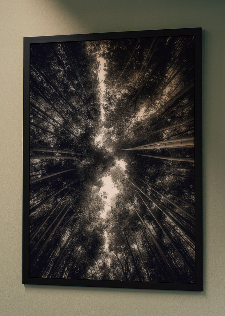 Arashiyama Bamboo Grove 