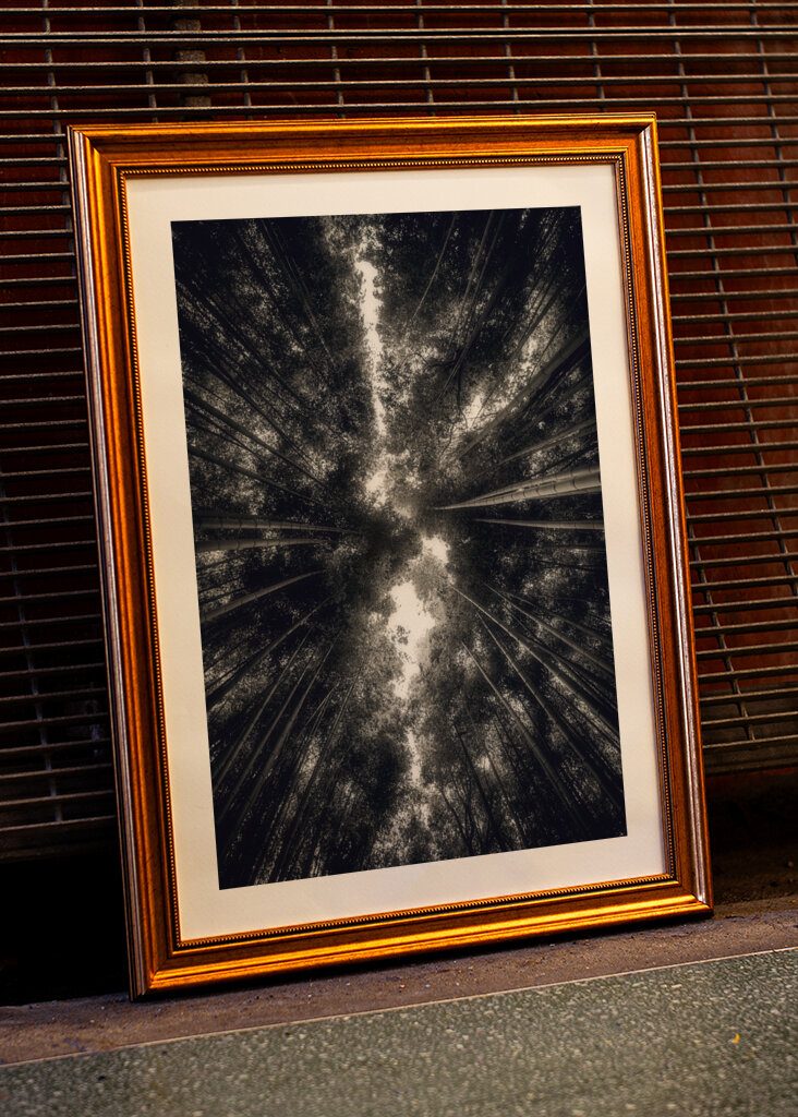 Arashiyama Bamboo Grove 