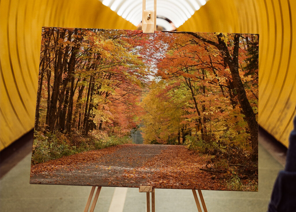 A deserted country road 