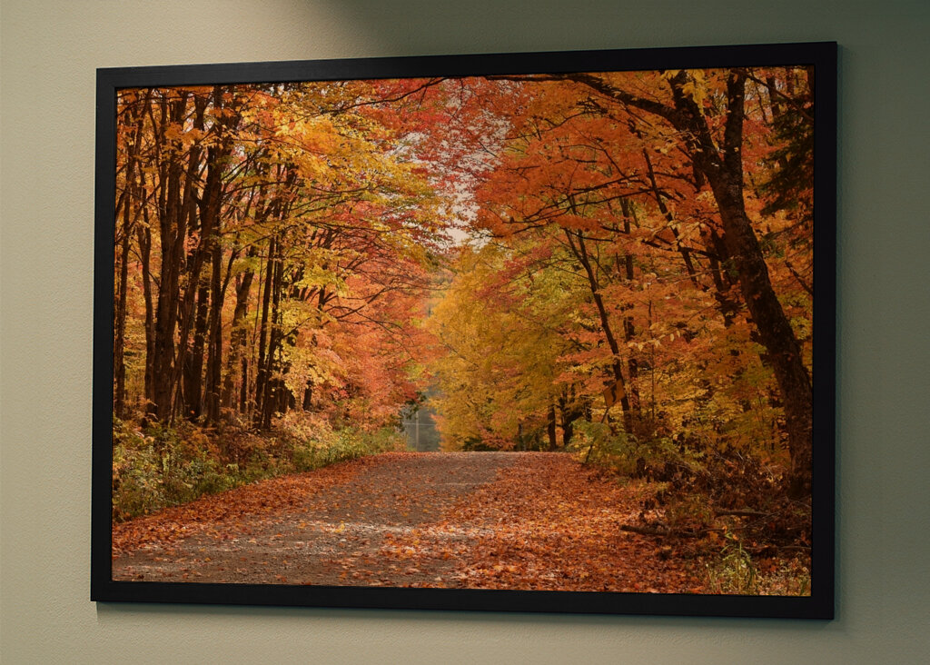A deserted country road 