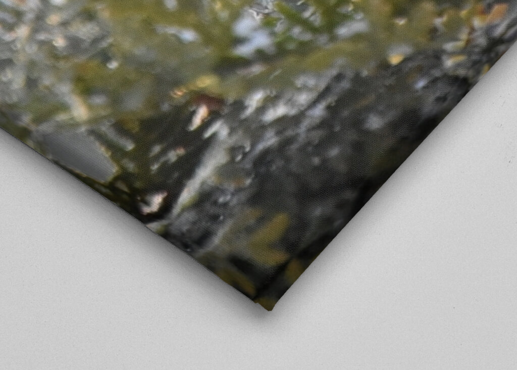 Et rødt egern til havemad