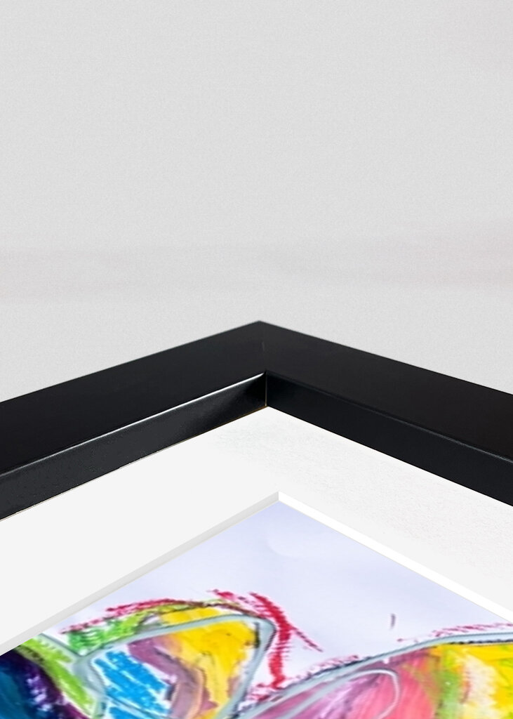 The colorful butterfly