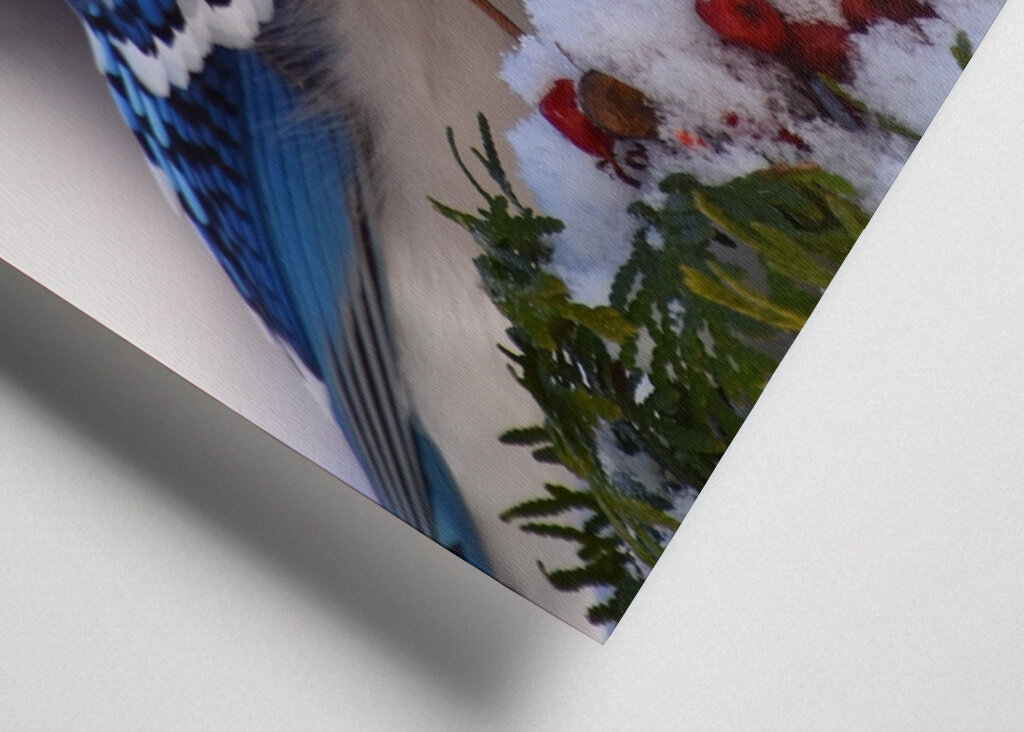 A blue jay at the garden 