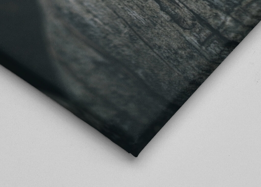 Bjergkrystal på væltet fyrretræ