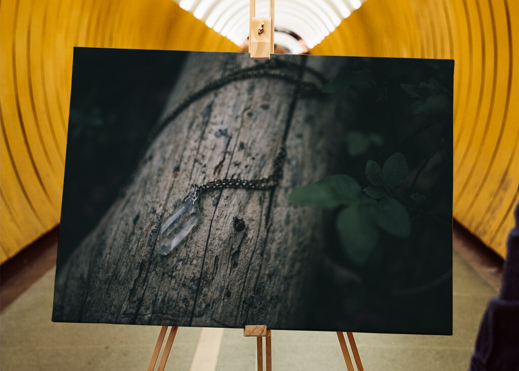 Bjergkrystal på væltet fyrretræ