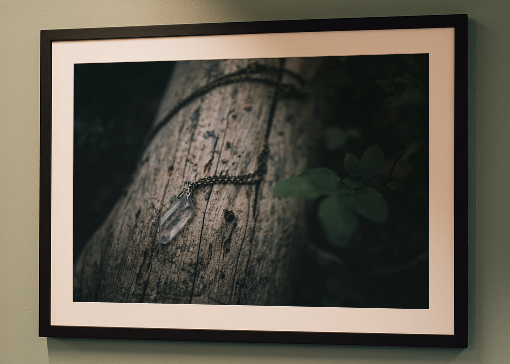 Bjergkrystal på væltet fyrretræ