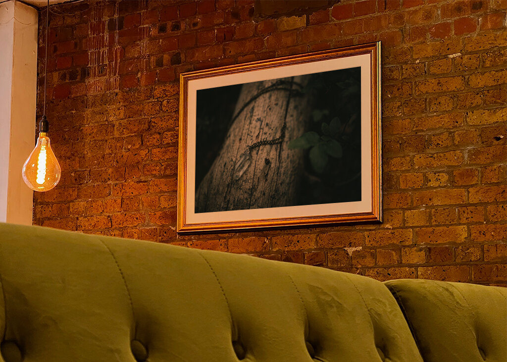 Bjergkrystal på væltet fyrretræ