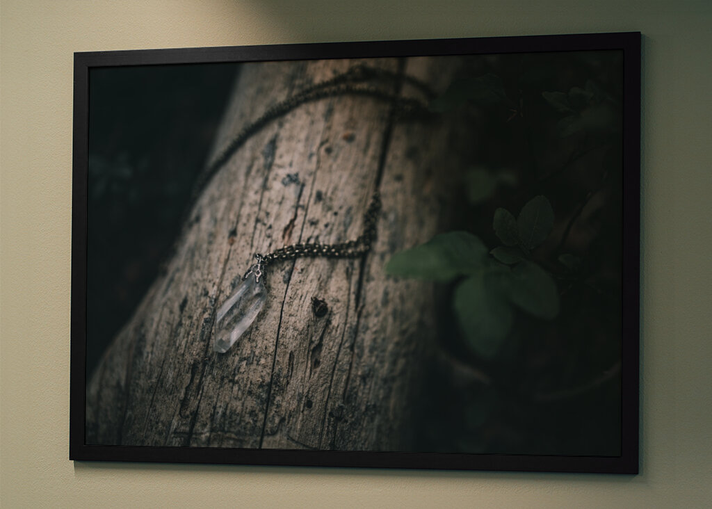 Bjergkrystal på væltet fyrretræ