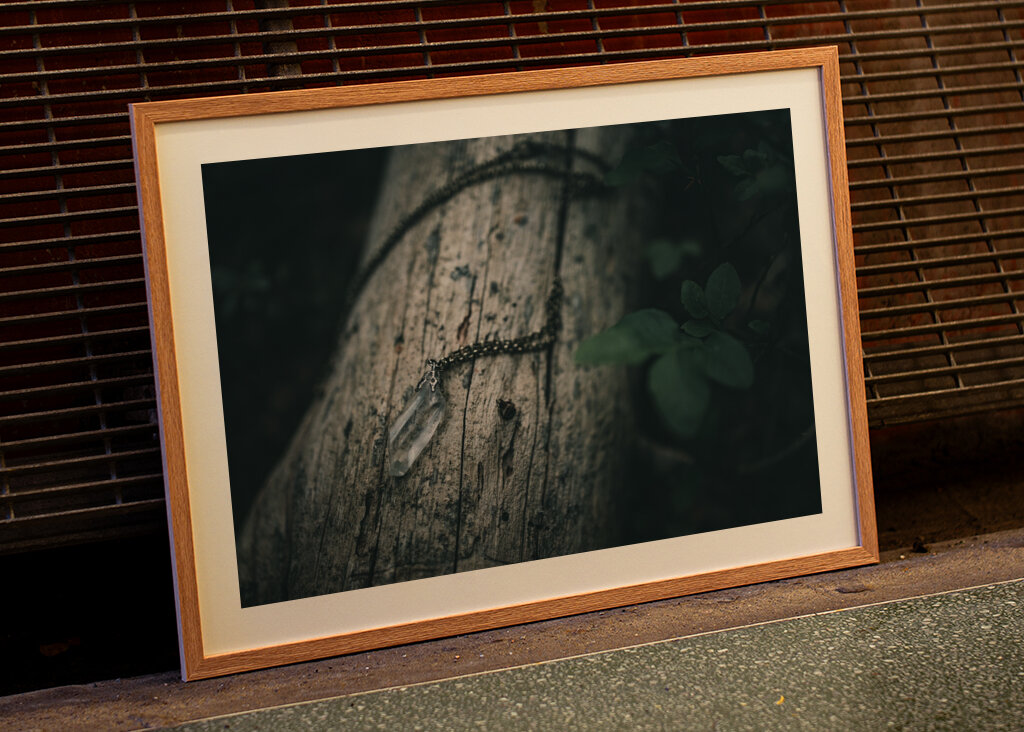 Bjergkrystal på væltet fyrretræ