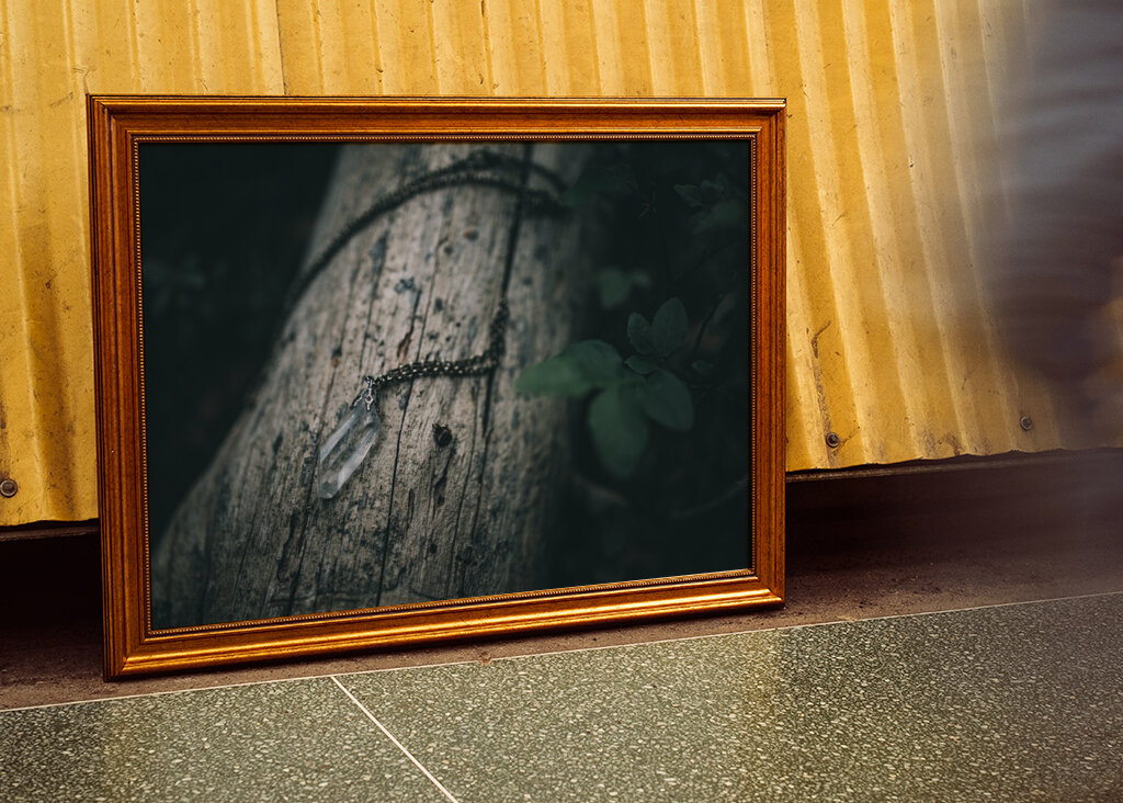 Bjergkrystal på væltet fyrretræ