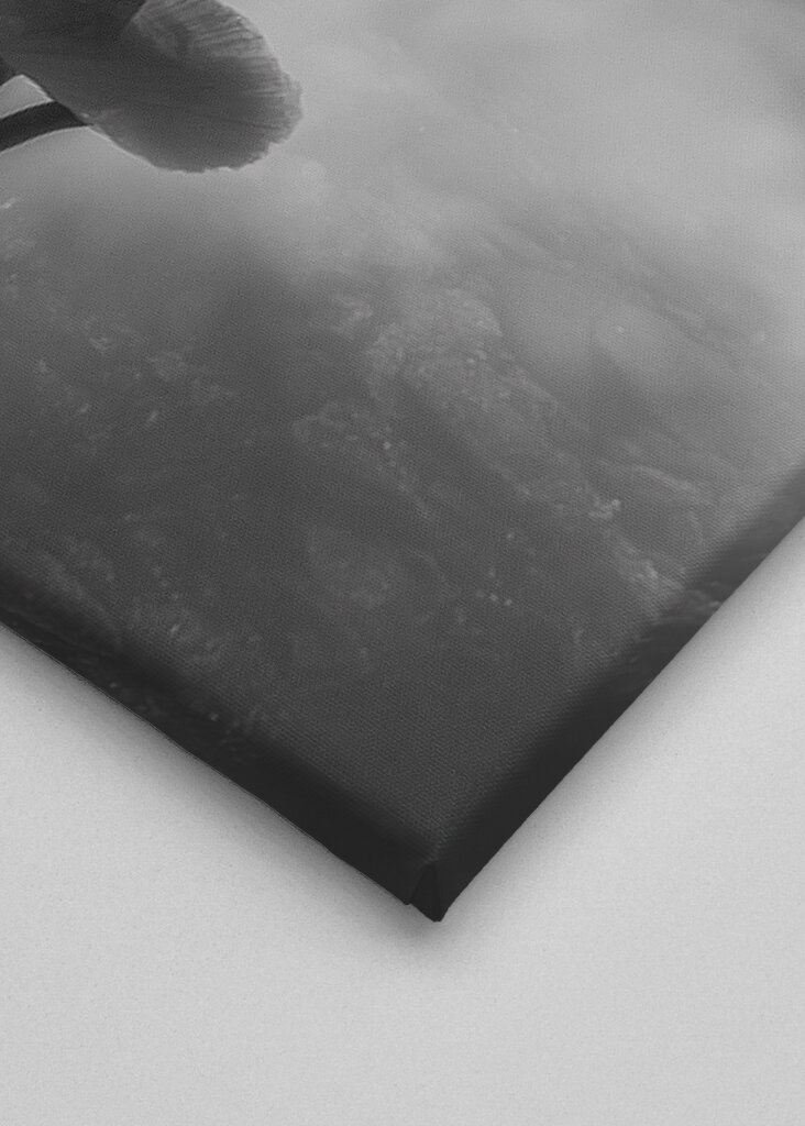 Ballet dancer in the fjords