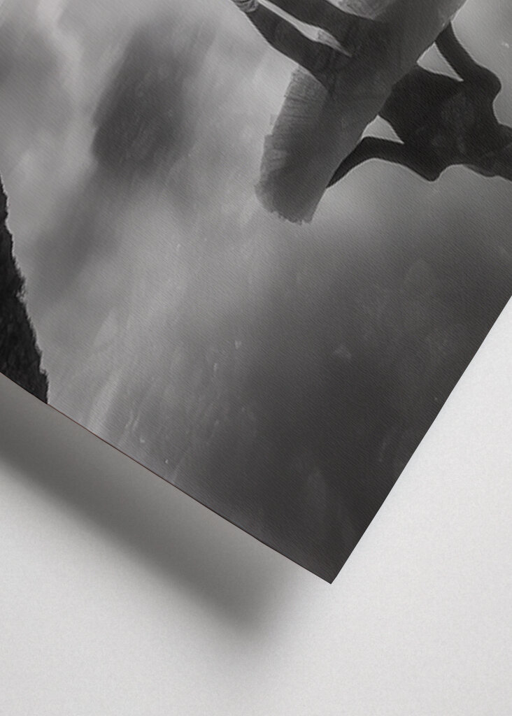 Ballet dancer in the fjords