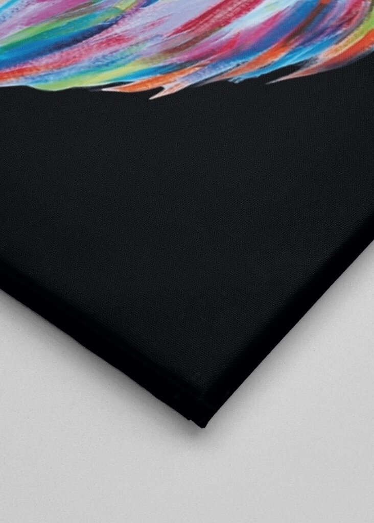 Black and colorful Fox