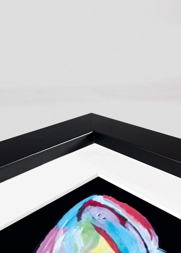 Black and colorful Fox