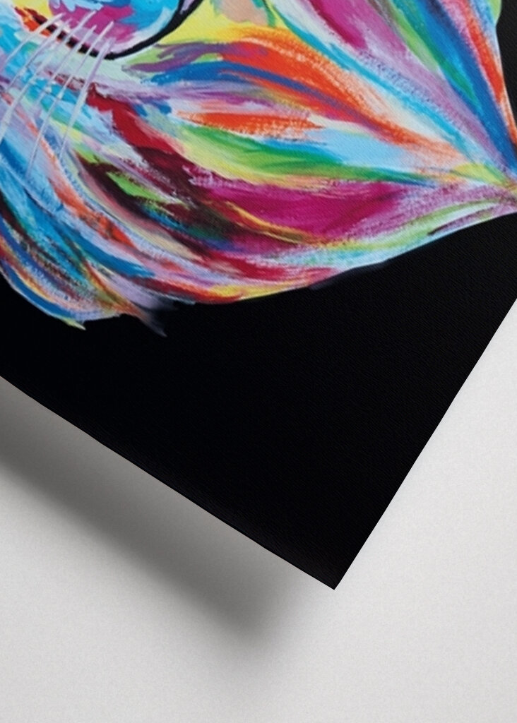 Black and colorful Fox