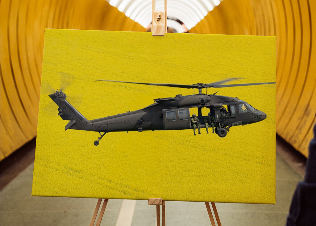 Blackhawk over fields of gold