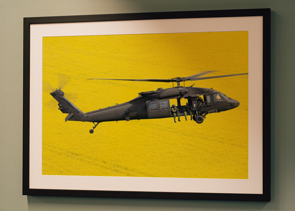 Blackhawk over fields of gold