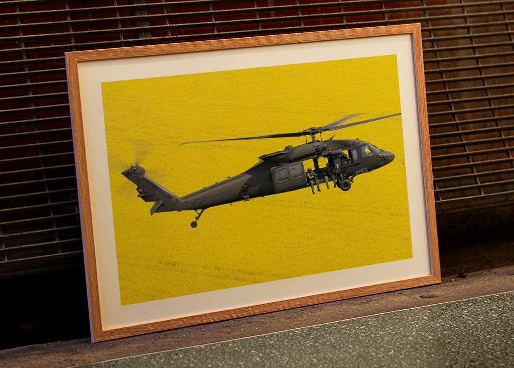 Blackhawk over fields of gold