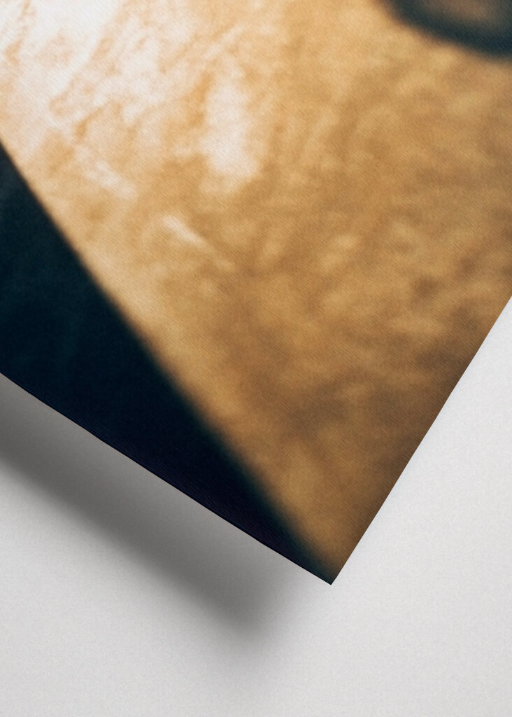 Skate in the evening sun