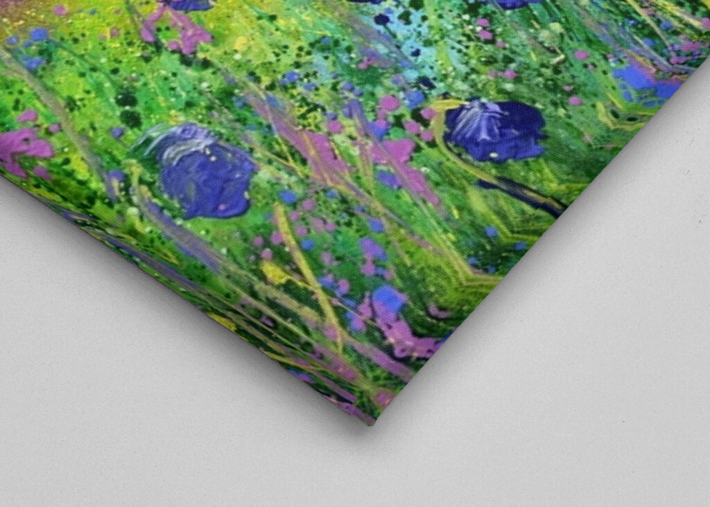 Spring in my countryside