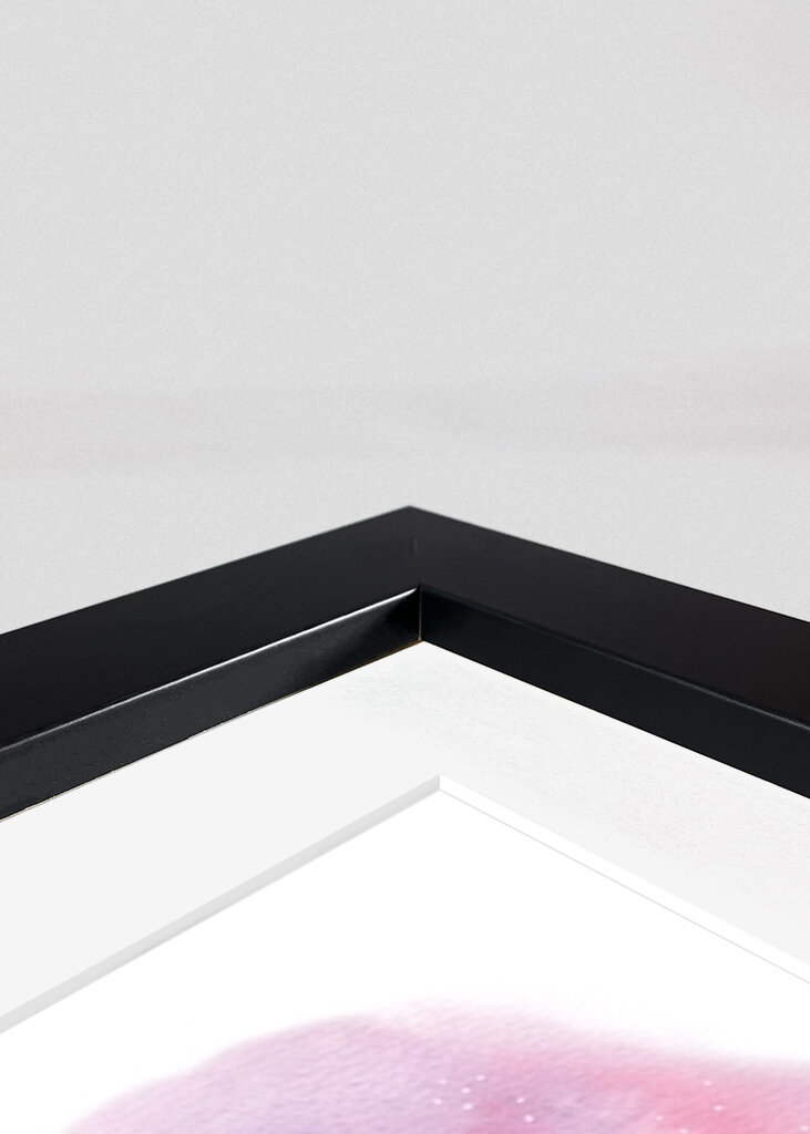 The journey of dreams