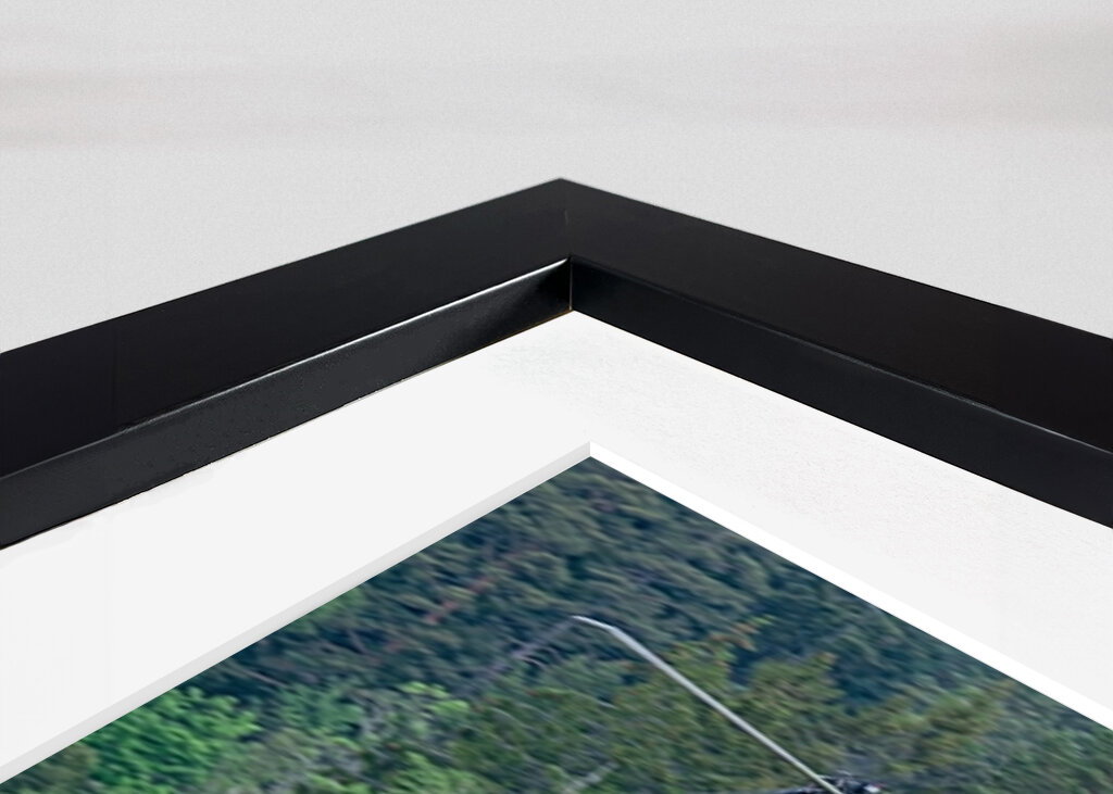 Blackhawk og A109 formation