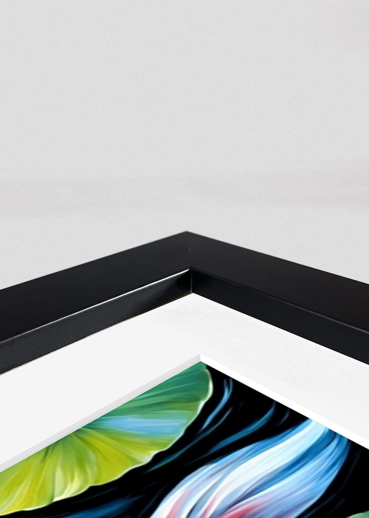 Koi Fish and Lotus Flowers