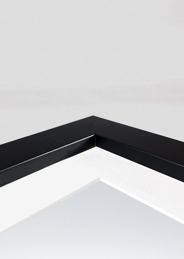 Tree at the edge of the forest