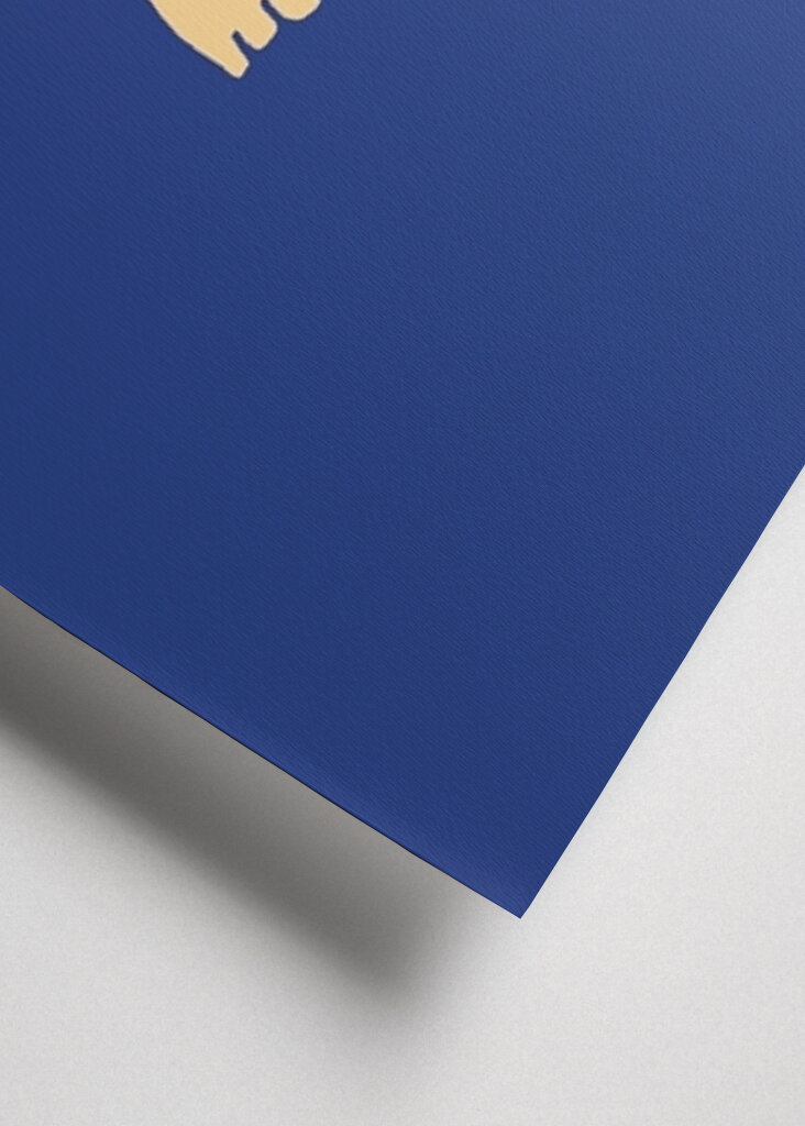 The feet in the water