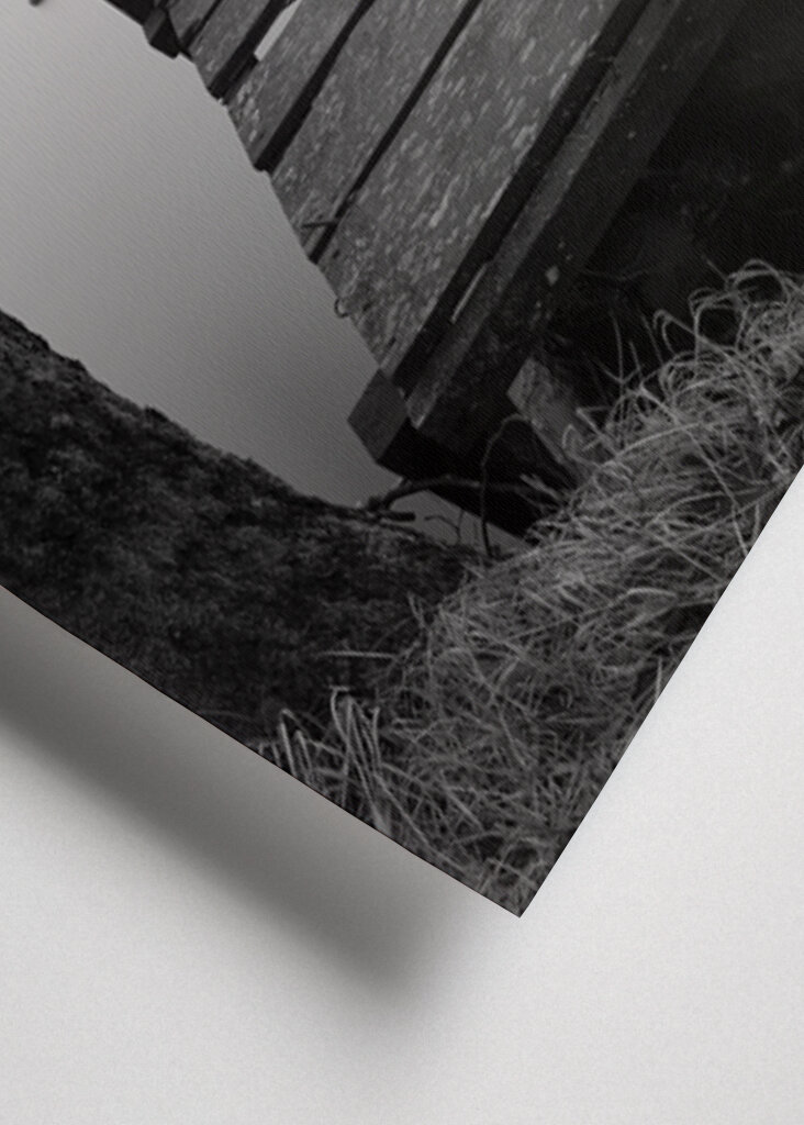 Dalsjön i Dalsjöfors 250126-1