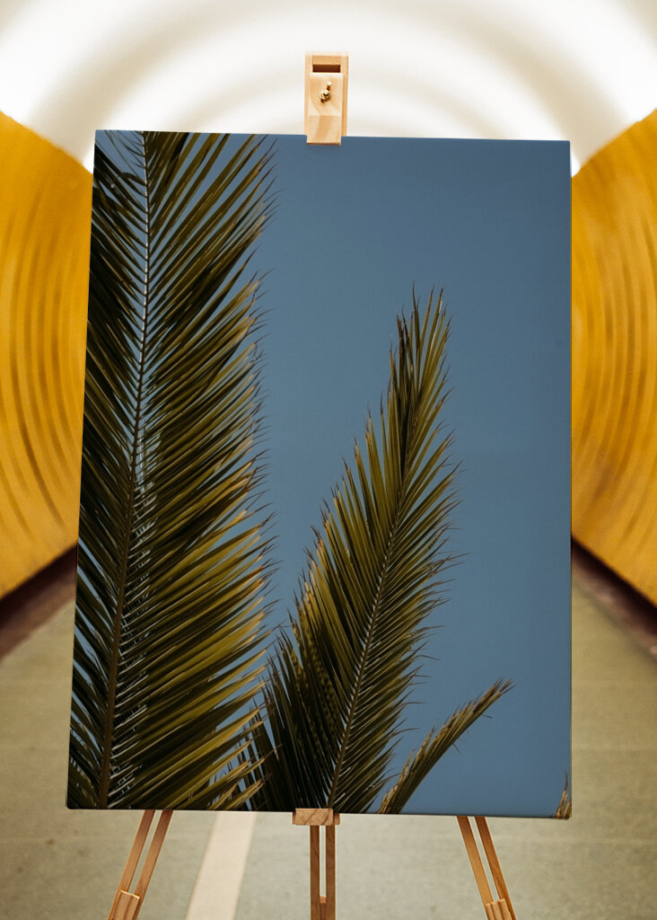 Palm tree and blue sky