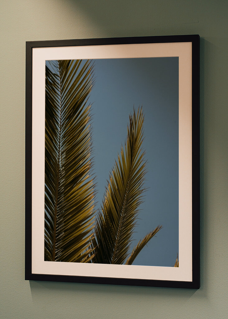 Palm tree and blue sky