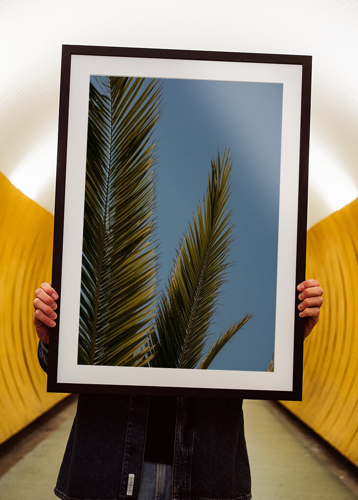 Palm tree and blue sky