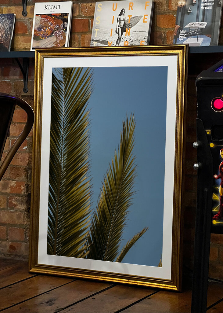 Palm tree and blue sky