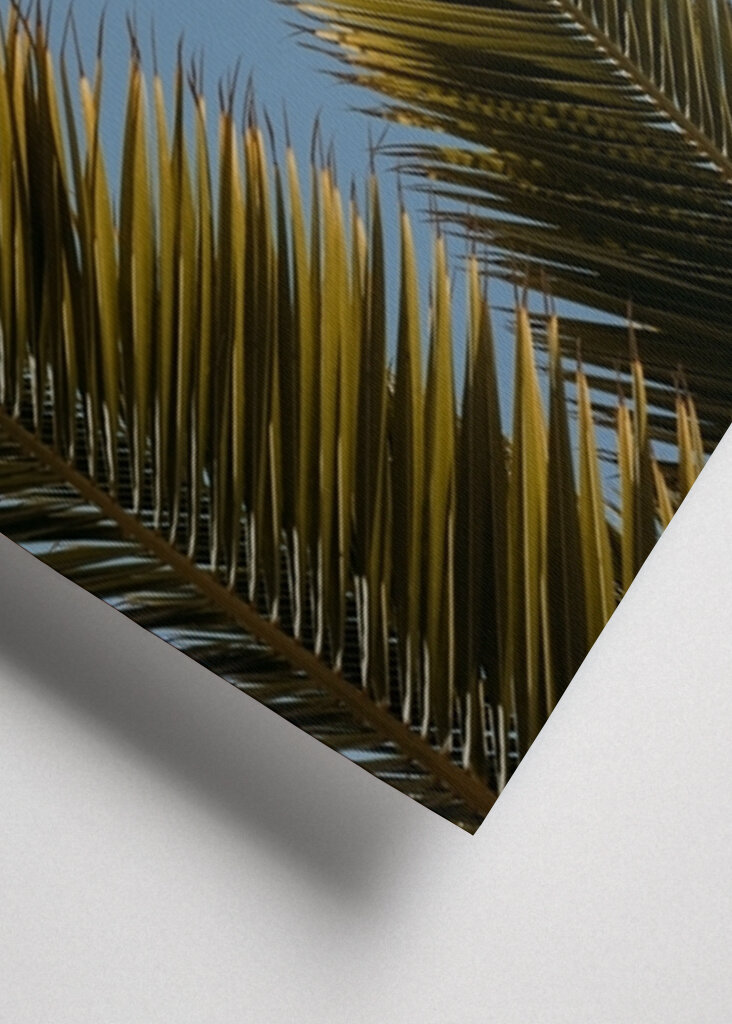 Palm tree and blue sky