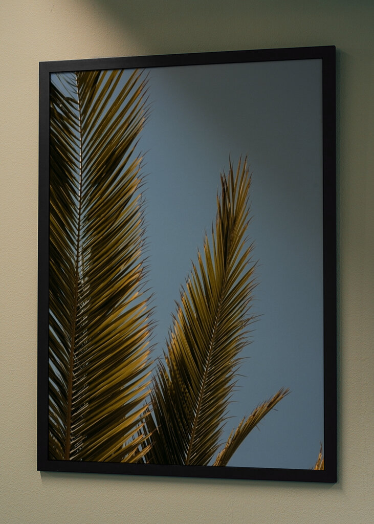 Palm tree and blue sky