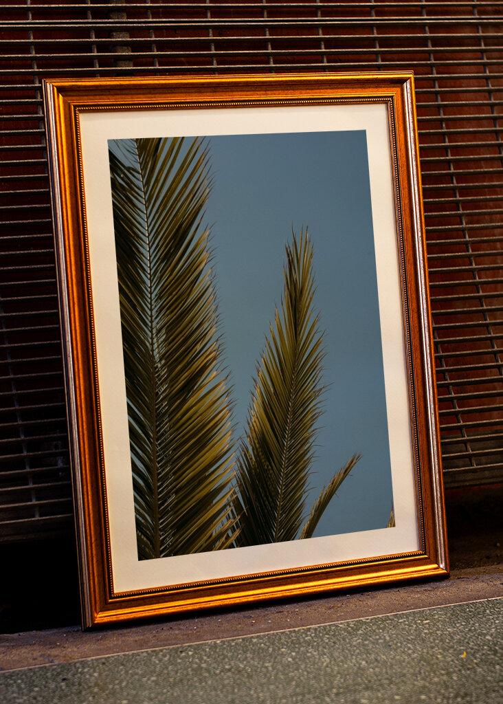 Palm tree and blue sky