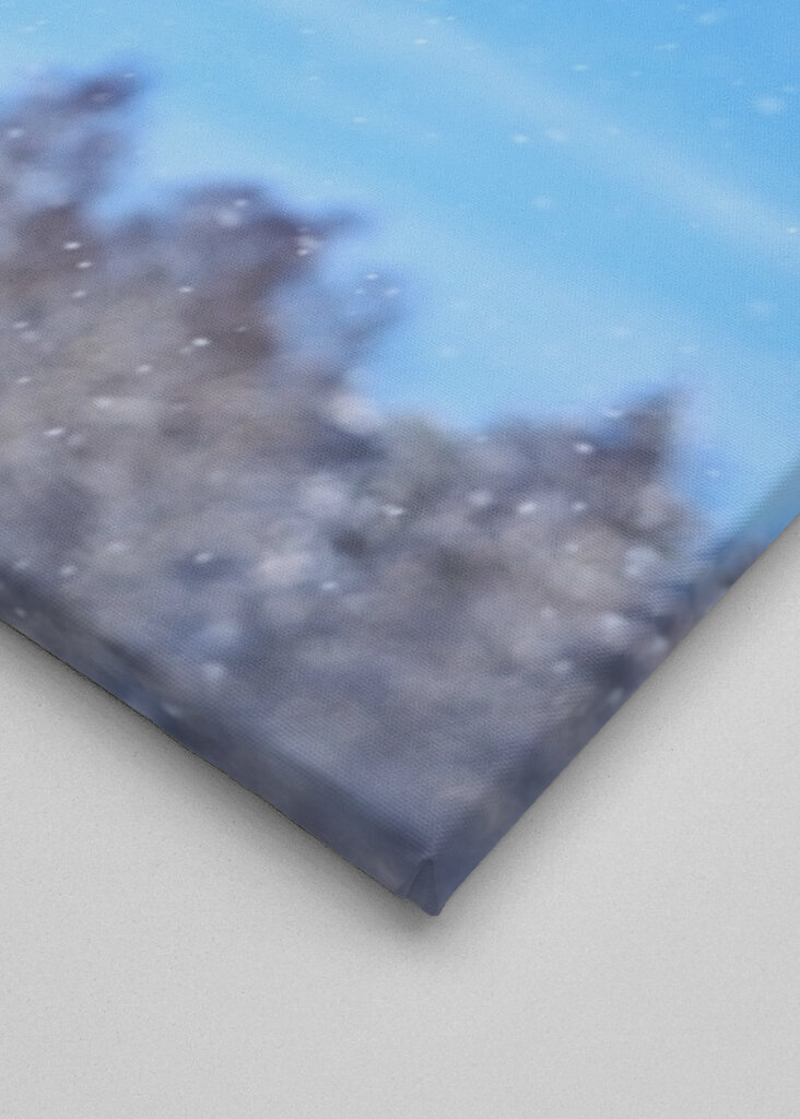 The beautiful winter picture