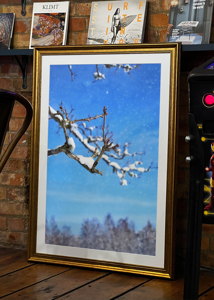 The beautiful winter picture