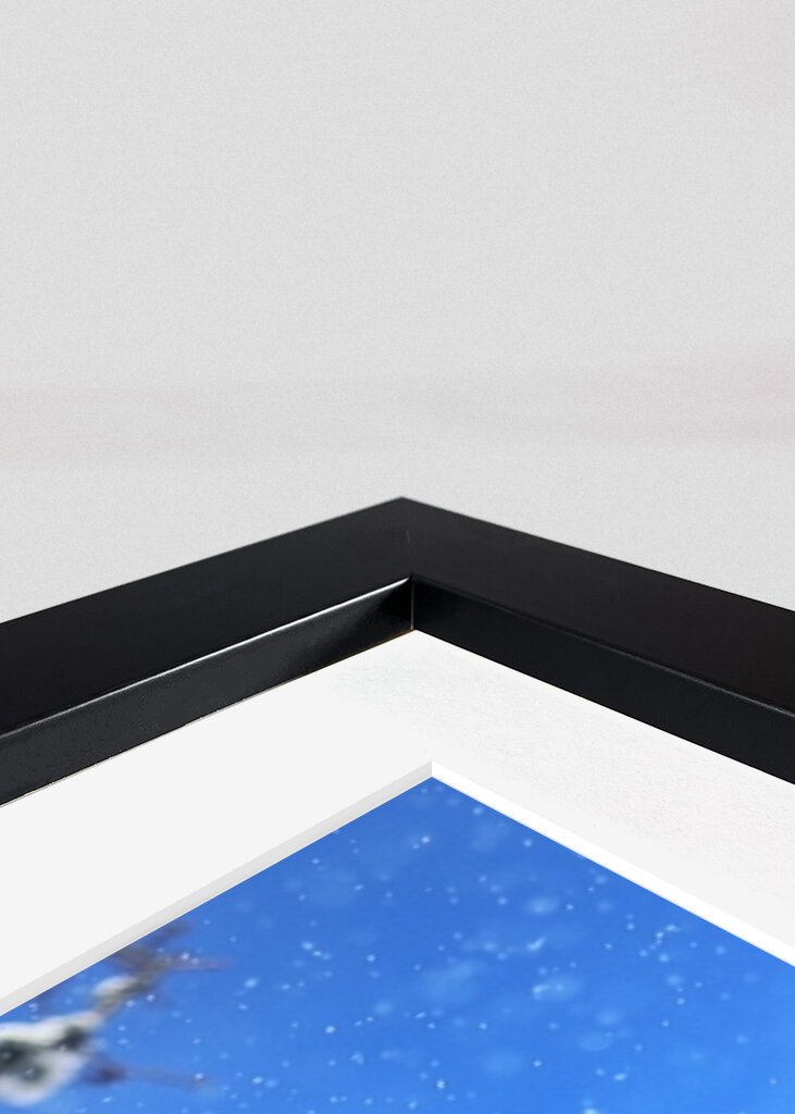 The beautiful winter picture