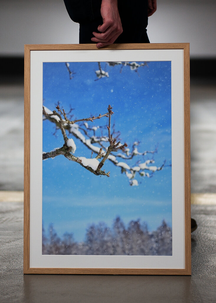 The beautiful winter picture