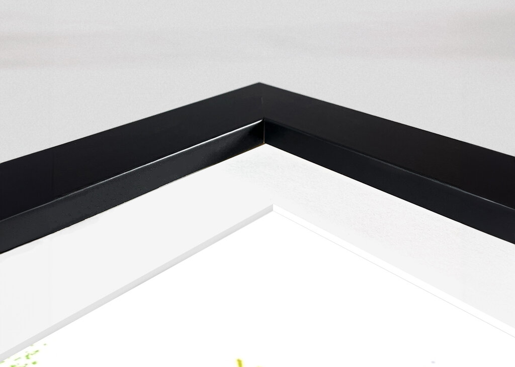 Jena Skyline – Farbenfroh 