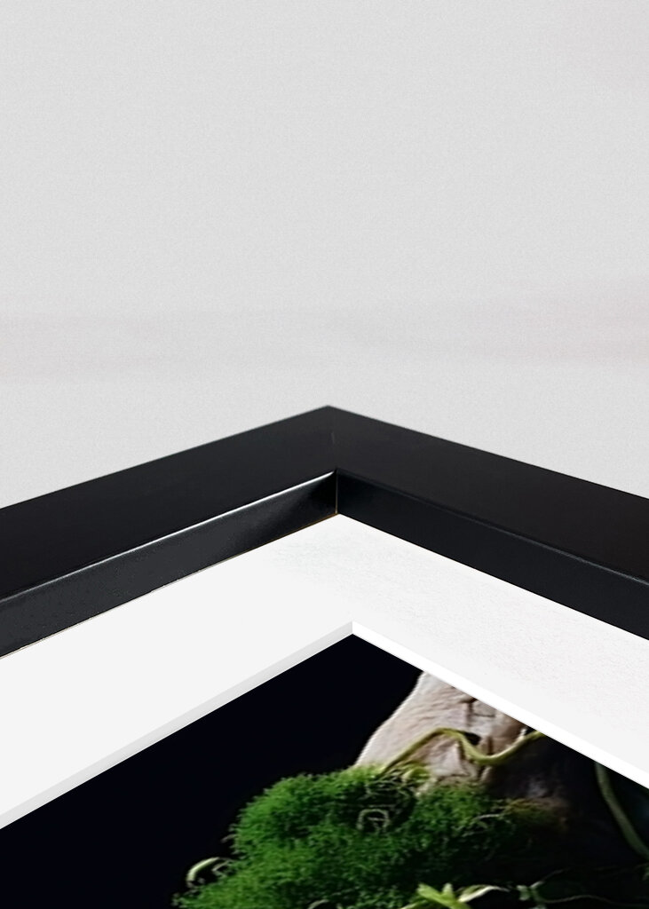 The Rebirth of Earth