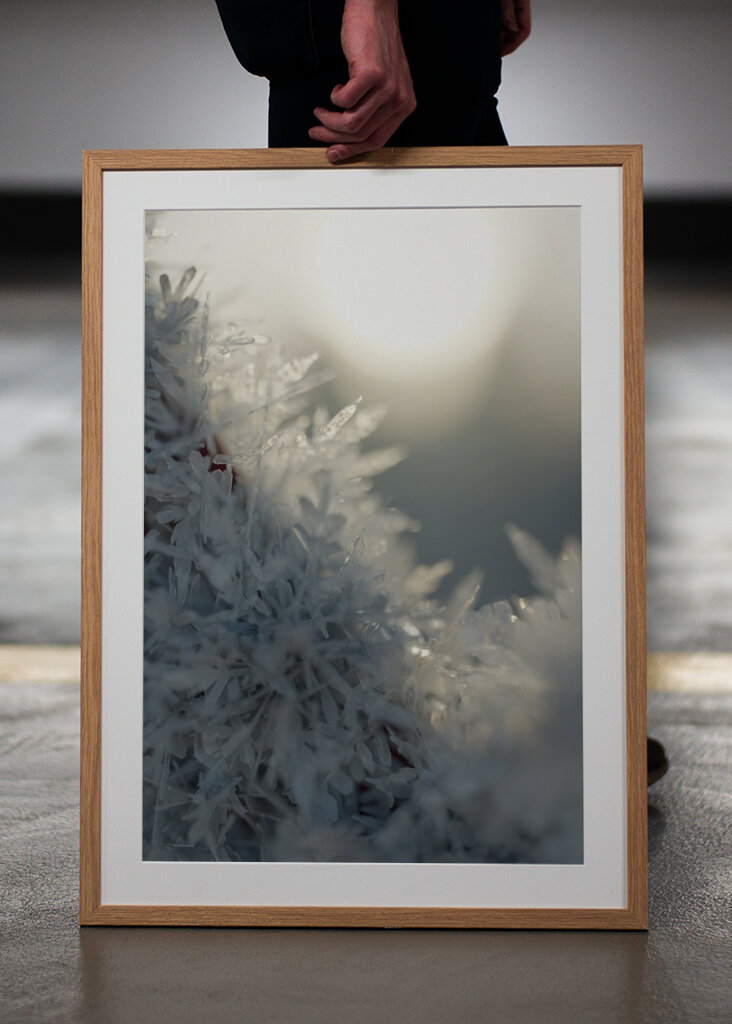 Schneekristalle im Sonnenlicht Poster von Besa Art | Printler