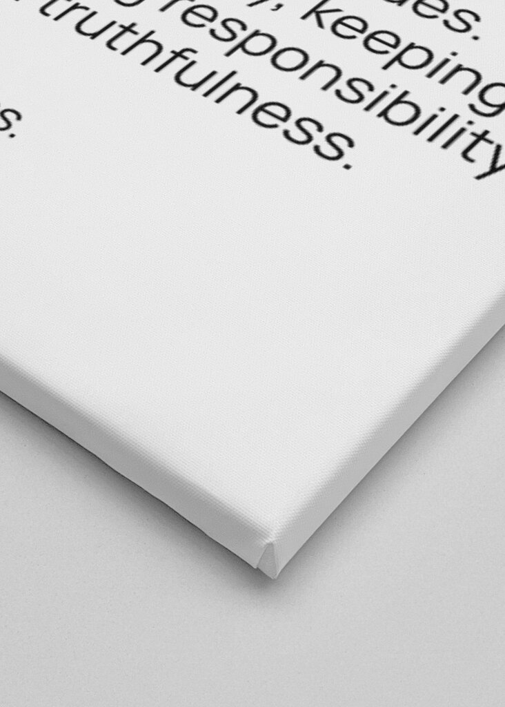 Integrity Definition 