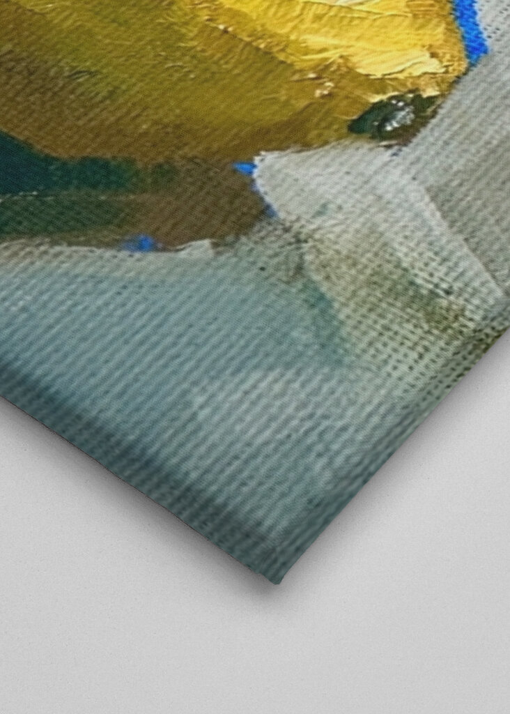 Undersøgelse af en citron